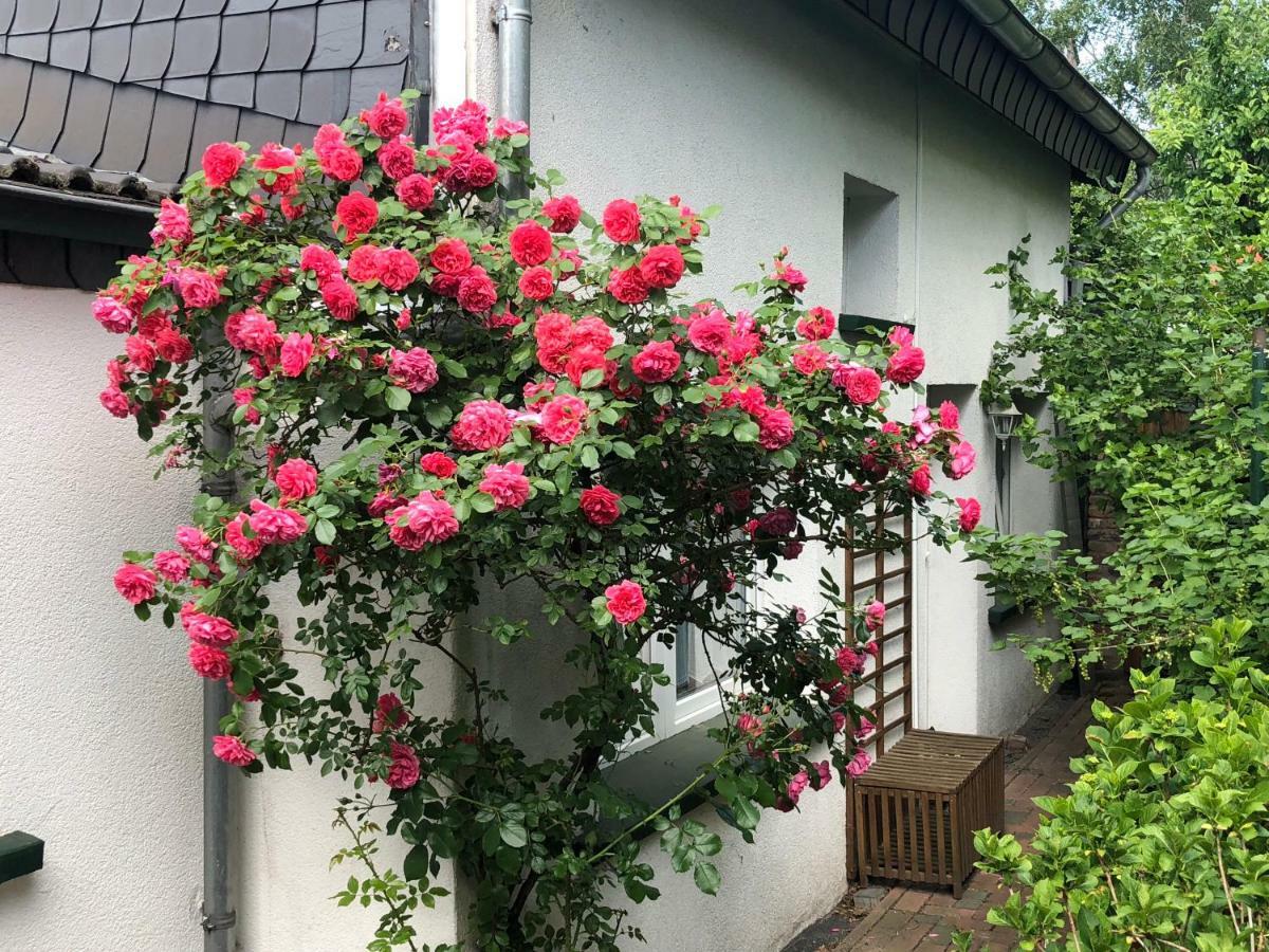 Ferienwohnung Am Schloß Eller - Karlsruher Strasse Apartment Düsseldorf